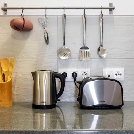 Santa Rita Greenhouse Ponta Delgada (Sao Miguel)