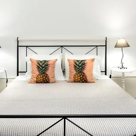 Santa Rita Greenhouse * Ponta Delgada (Sao Miguel)