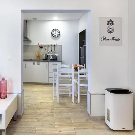 Holiday home Santa Rita Greenhouse Ponta Delgada (Sao Miguel)