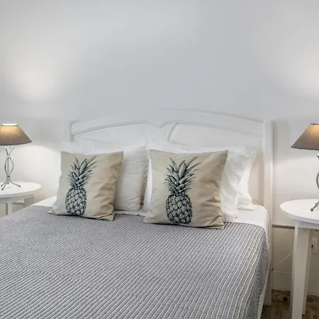 Santa Rita Greenhouse Ponta Delgada (Sao Miguel)