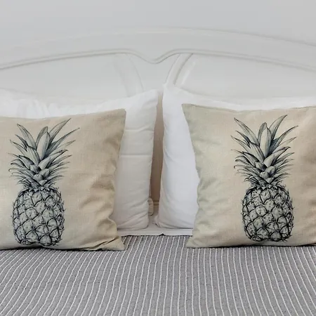 Holiday home Santa Rita Greenhouse Ponta Delgada (Sao Miguel)