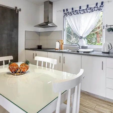 Santa Rita Greenhouse * Ponta Delgada (Sao Miguel)