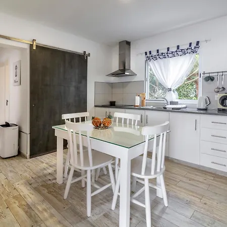 Santa Rita Greenhouse * Ponta Delgada (Sao Miguel)