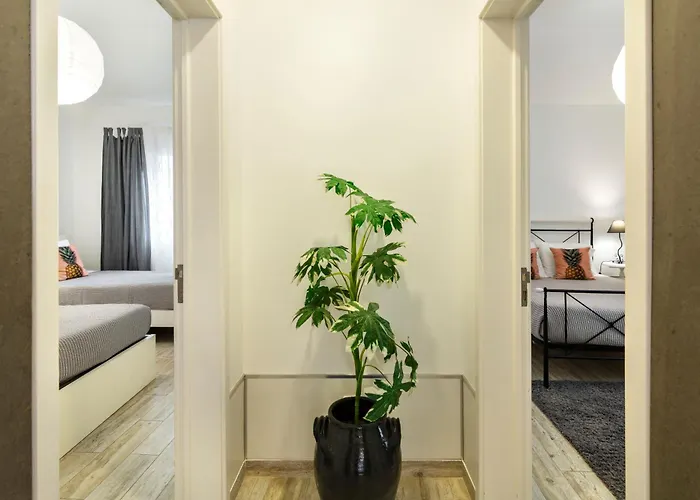 Santa Rita Greenhouse * Ponta Delgada