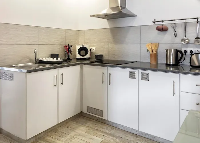 Santa Rita Greenhouse * Ponta Delgada