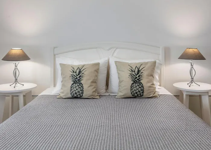 Casa de Férias Santa Rita Greenhouse *