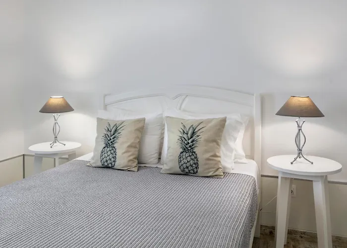 Santa Rita Greenhouse Ponta Delgada