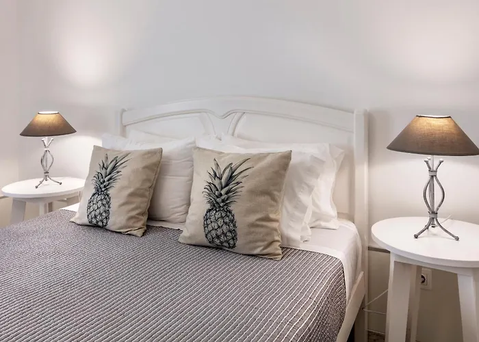 Santa Rita Greenhouse * Ponta Delgada