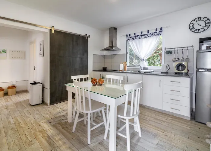 Santa Rita Greenhouse * Ponta Delgada