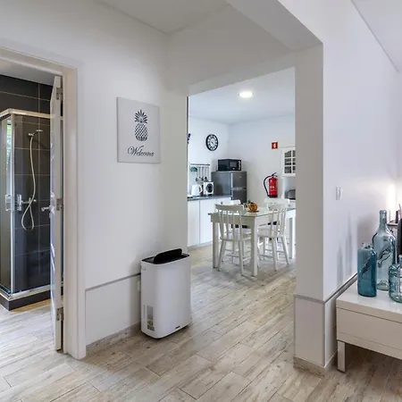 Santa Rita Greenhouse Ponta Delgada