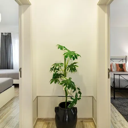 Santa Rita Greenhouse * Ponta Delgada