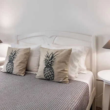 Santa Rita Greenhouse * Ponta Delgada