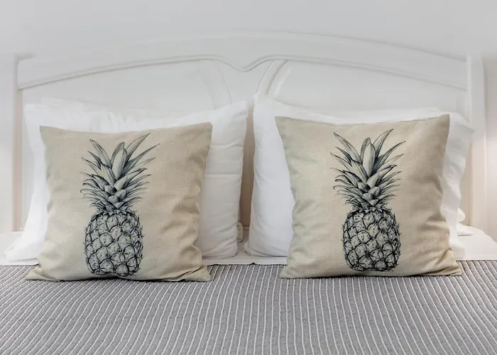 Holiday home Santa Rita Greenhouse Ponta Delgada (Sao Miguel)